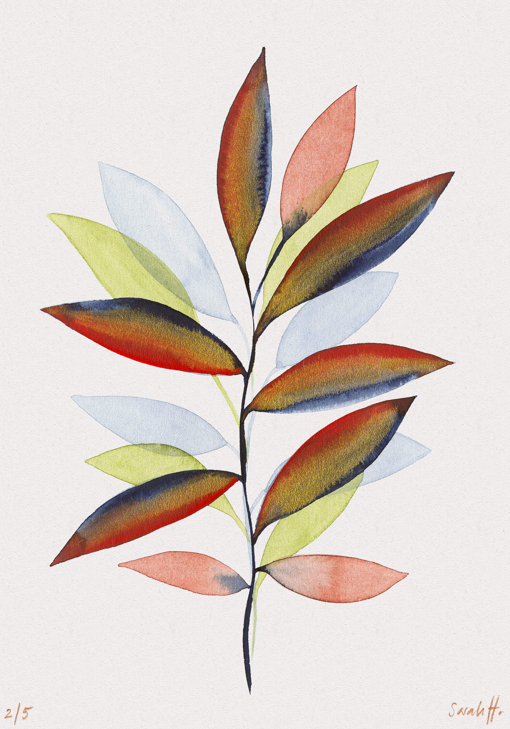 Bambus Serie Bambus 2/5