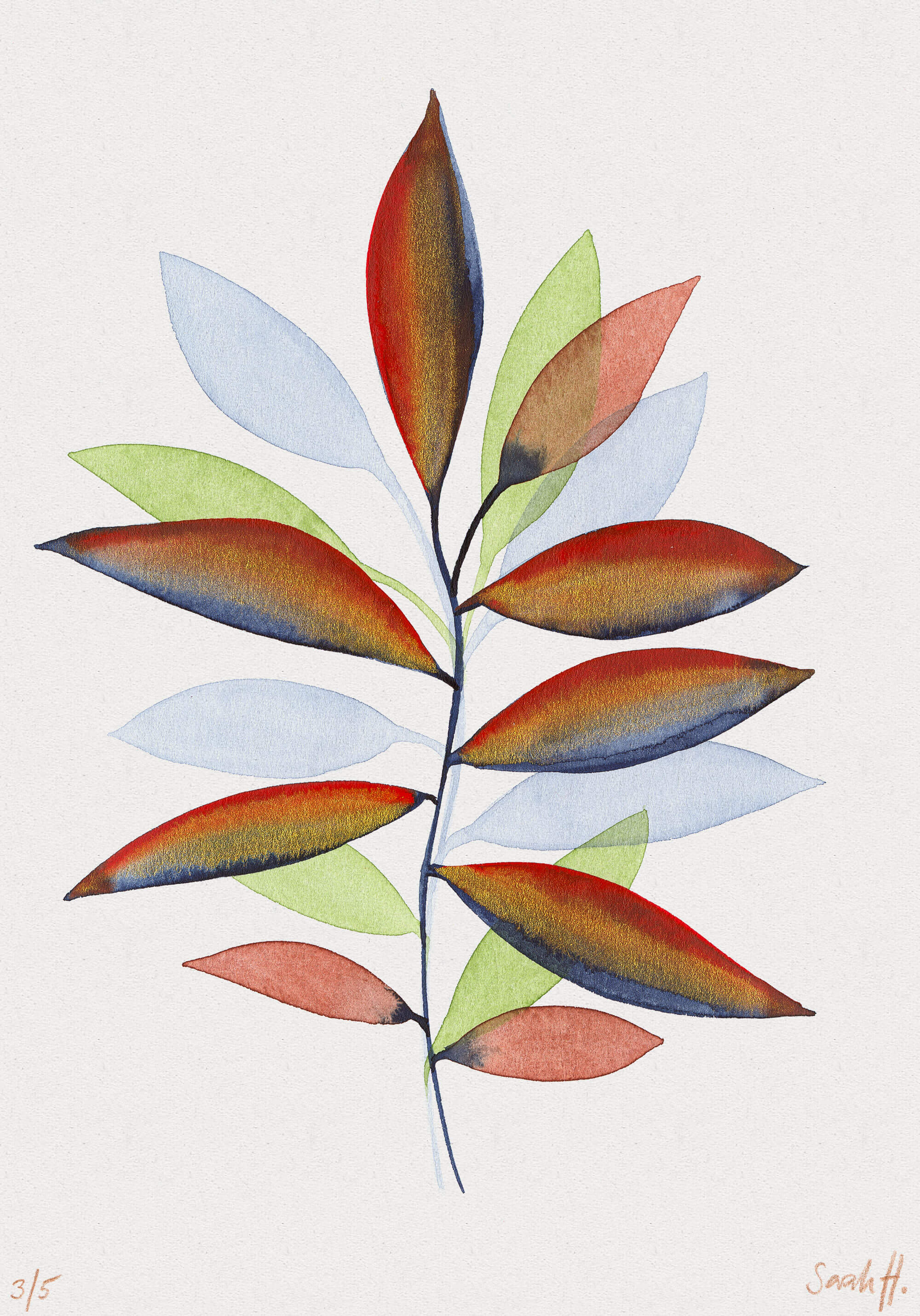 Bambus Serie Bambus 3/5