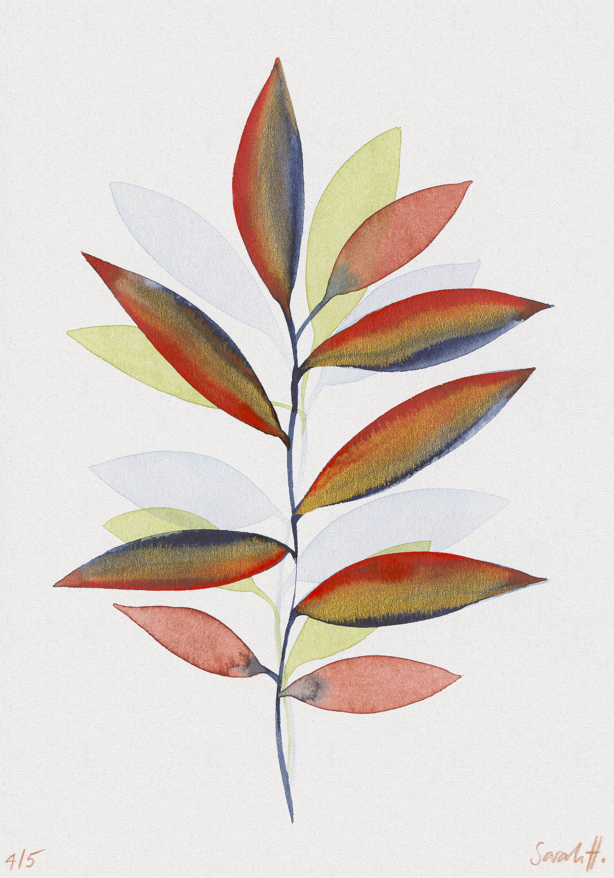 Bambus Serie Bambus 4/5