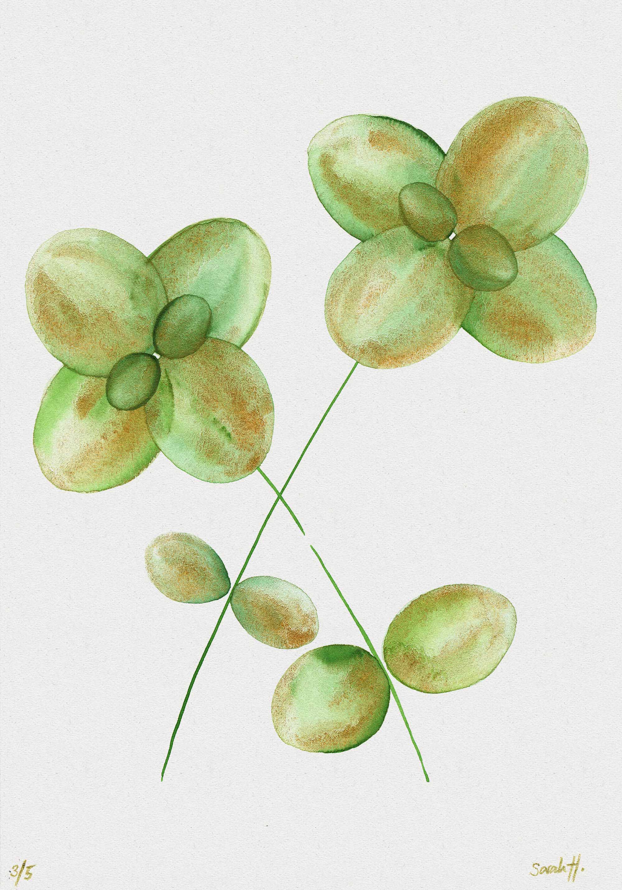 Basil Serie Basil 3/5