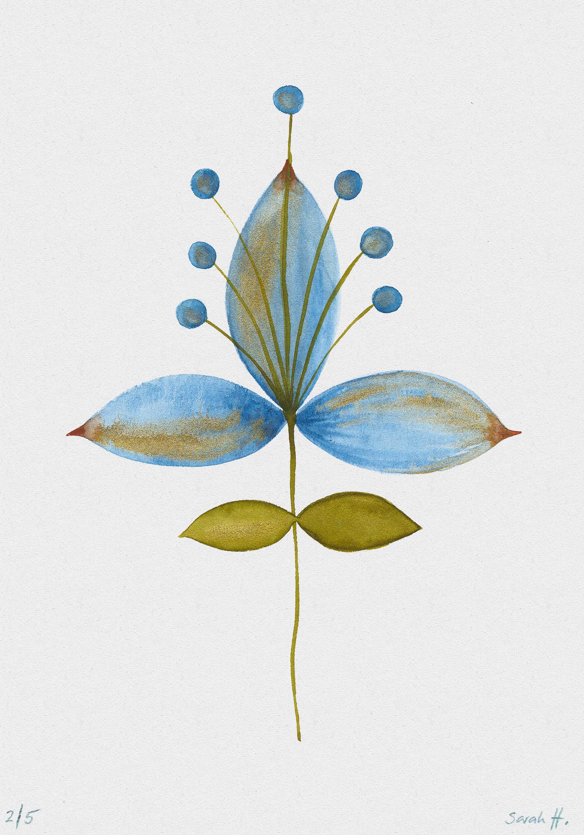 Bluelili Serie Bluelili 2/5