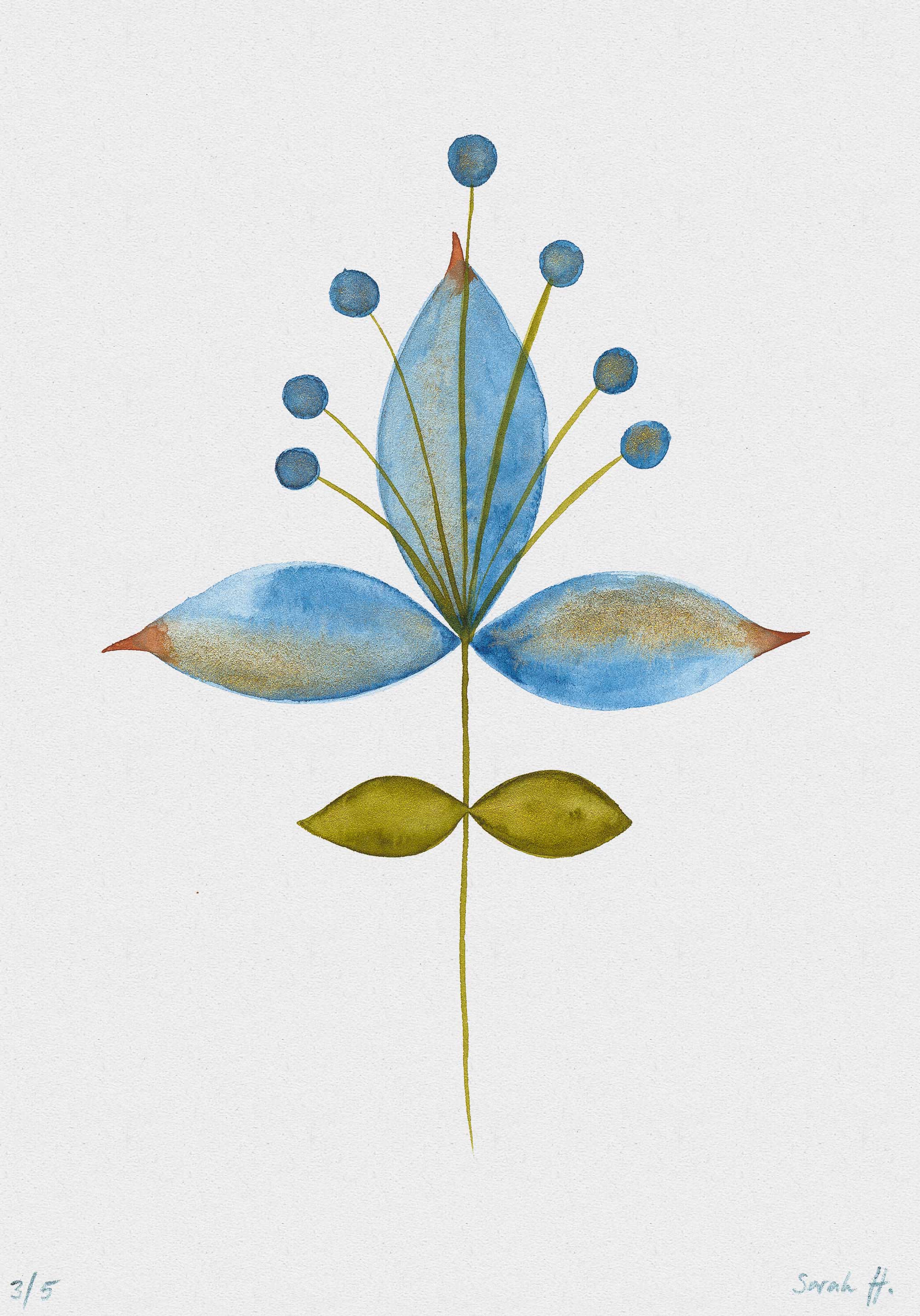 Bluelili Serie Bluelili 3/5