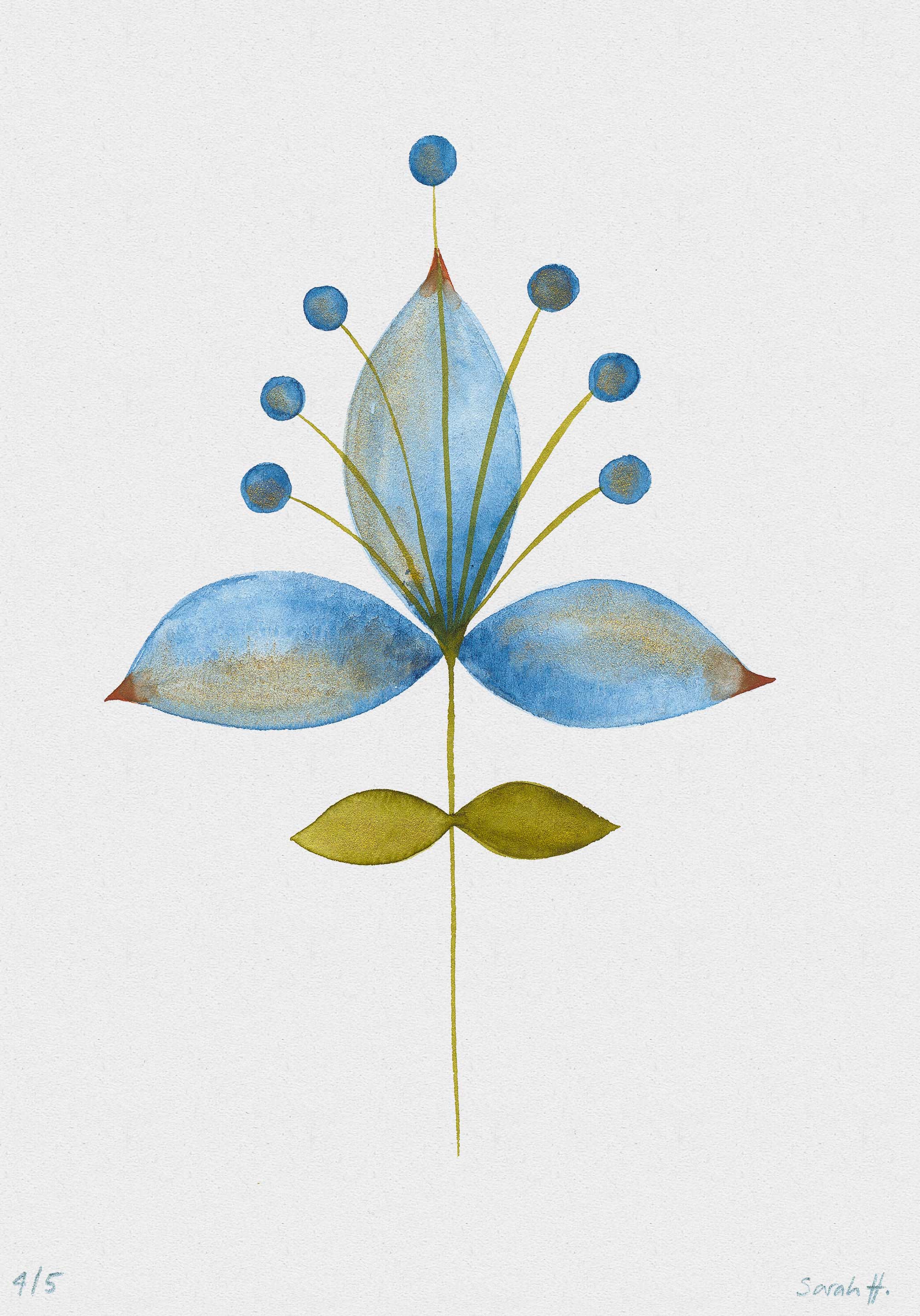 Bluelili Serie Bluelili 4/5