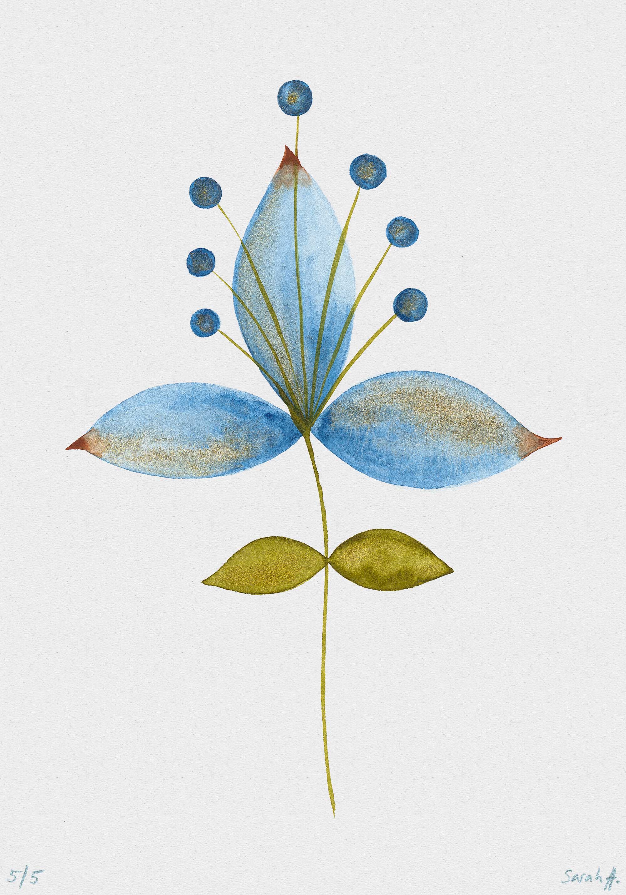 Bluelili Serie Bluelili 5/5