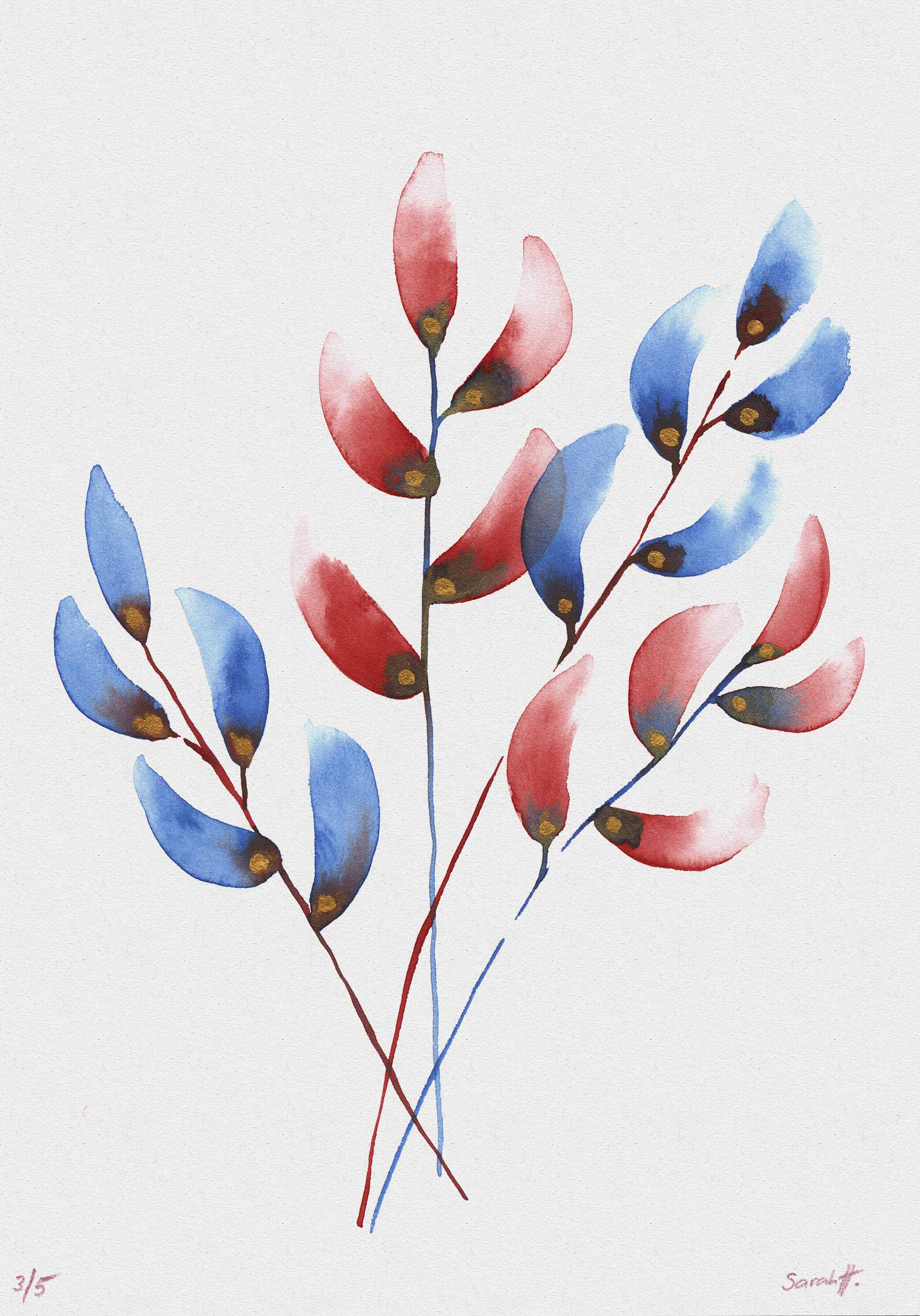 Buchs Serie Buchs 3/5