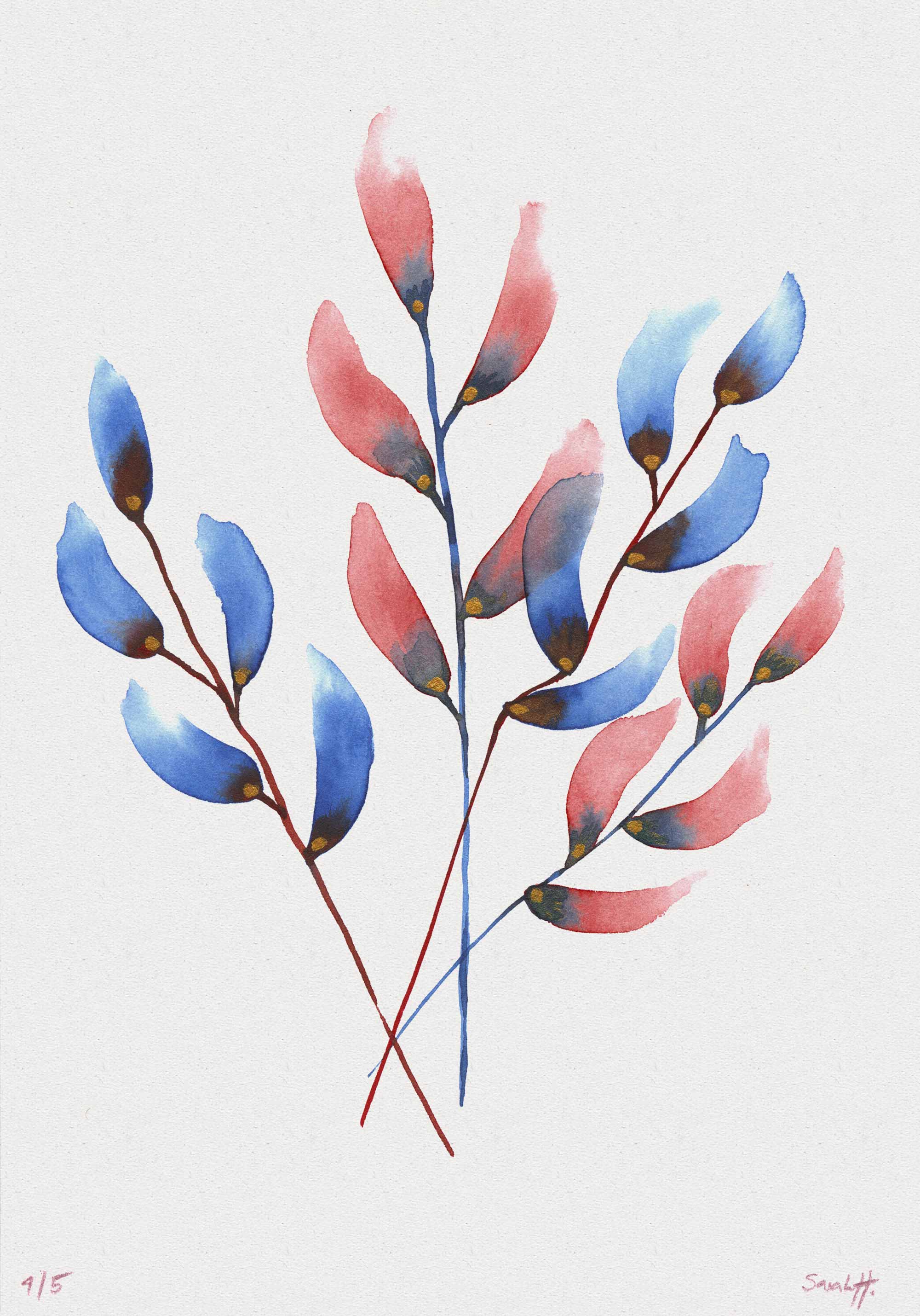 Buchs Serie Buchs 4/5