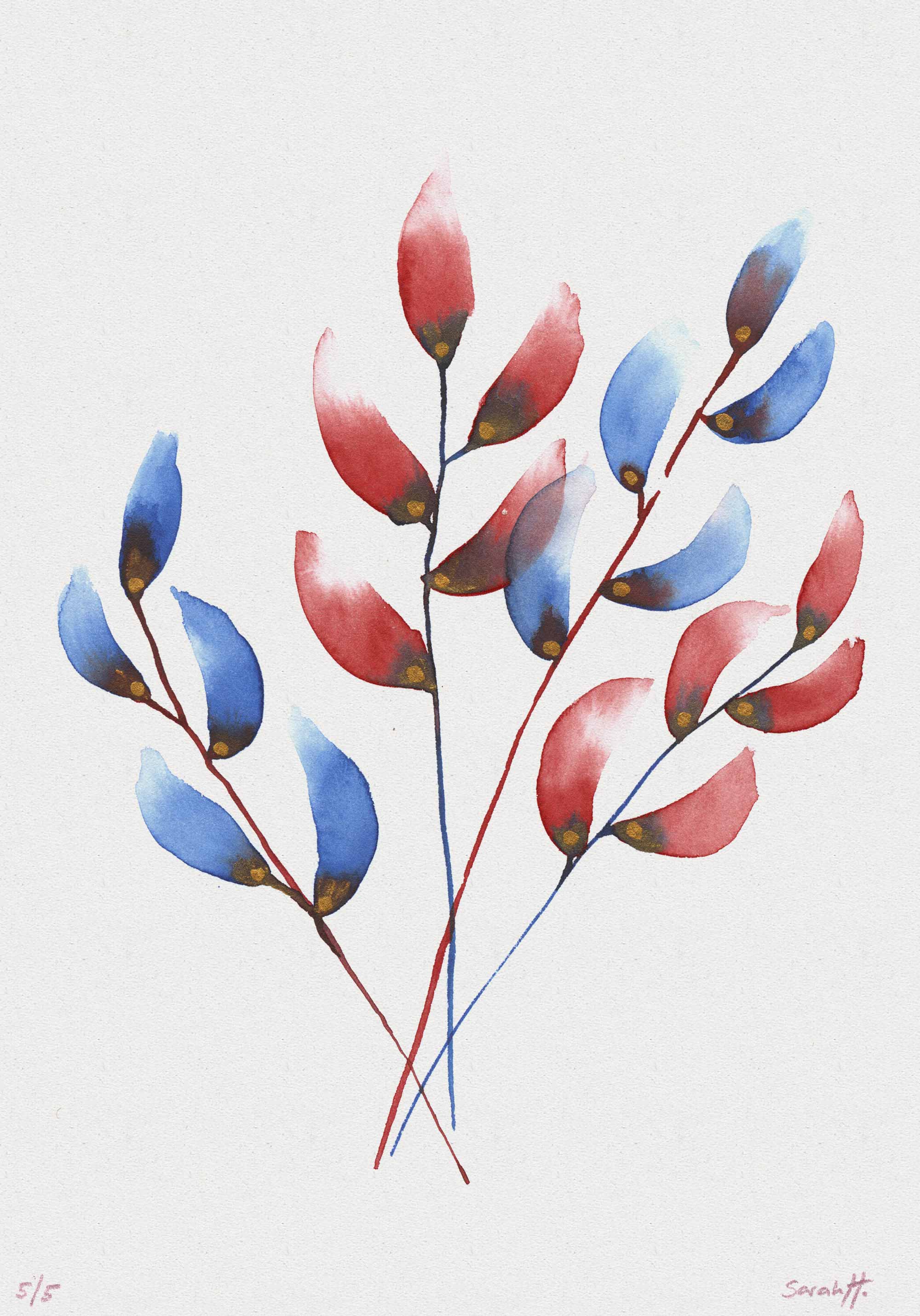 Buchs Serie Buchs 5/5