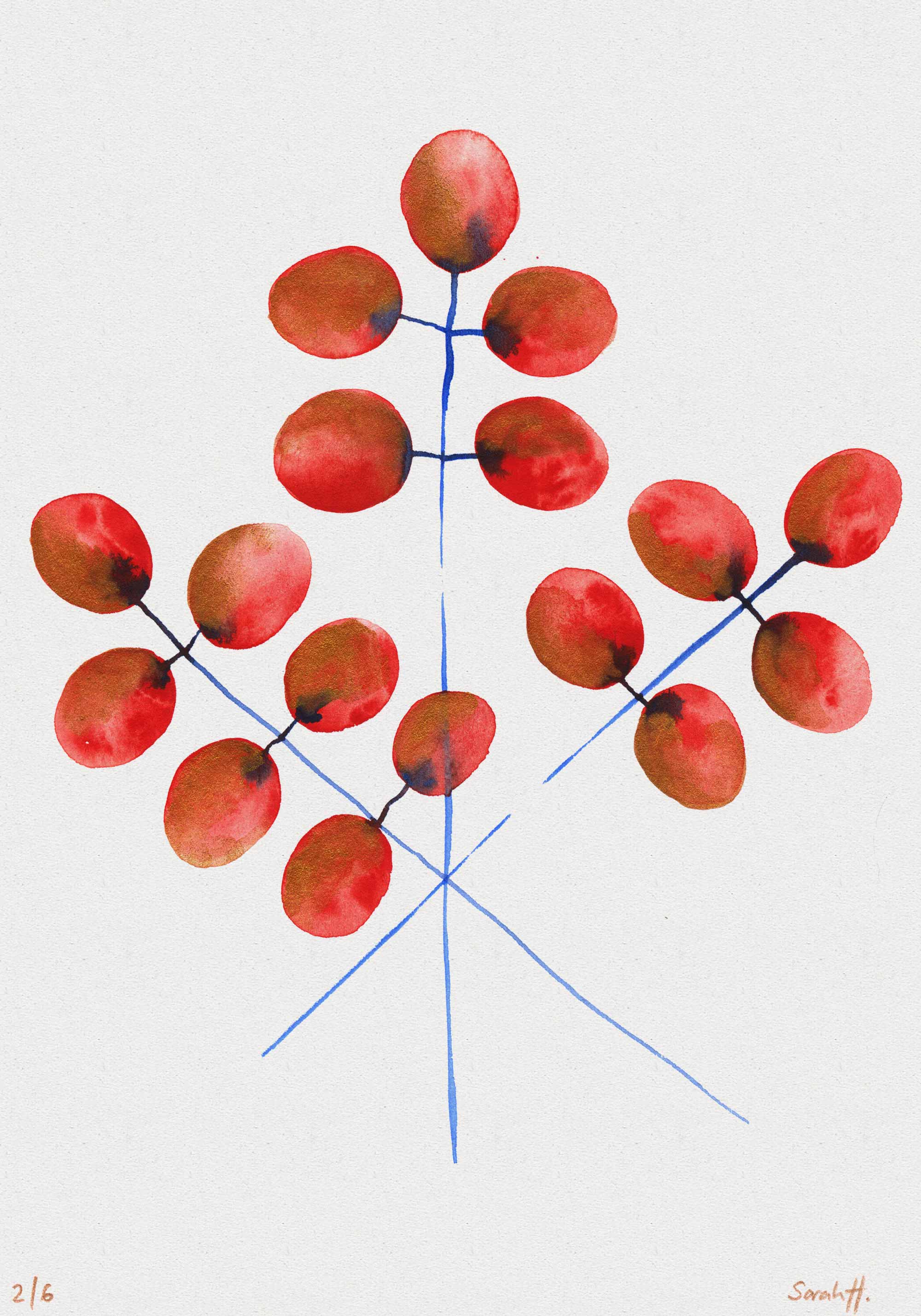 Butte Serie Butte 2/6