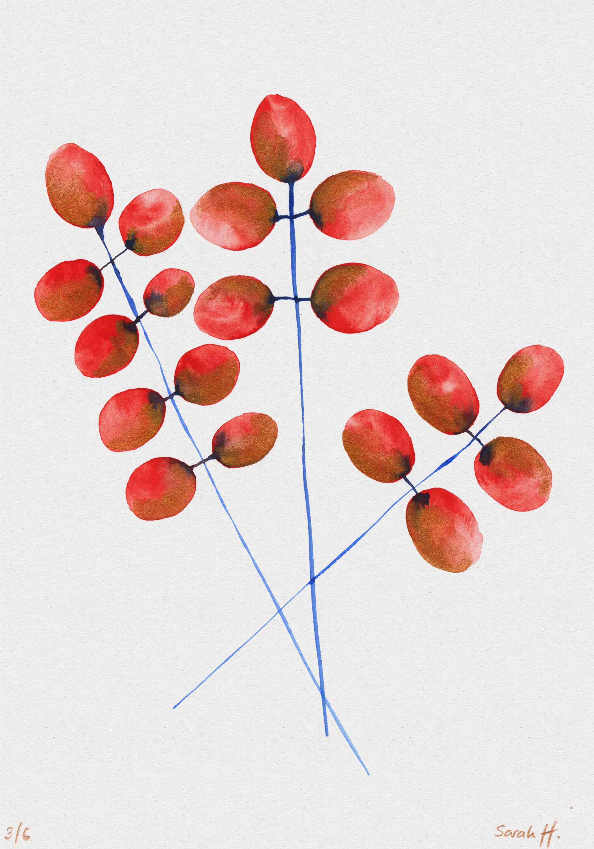 Butte Serie Butte 3/6