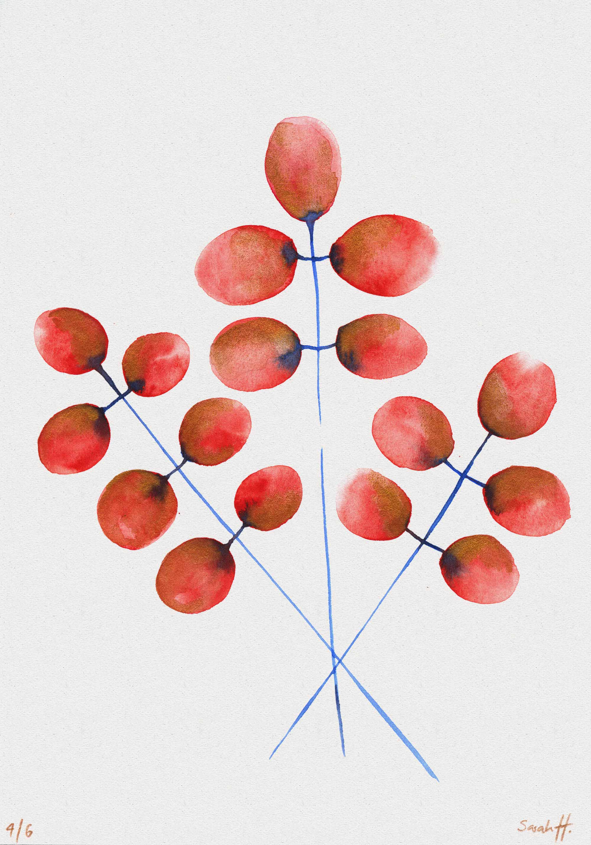 Butte Serie Butte 4/6