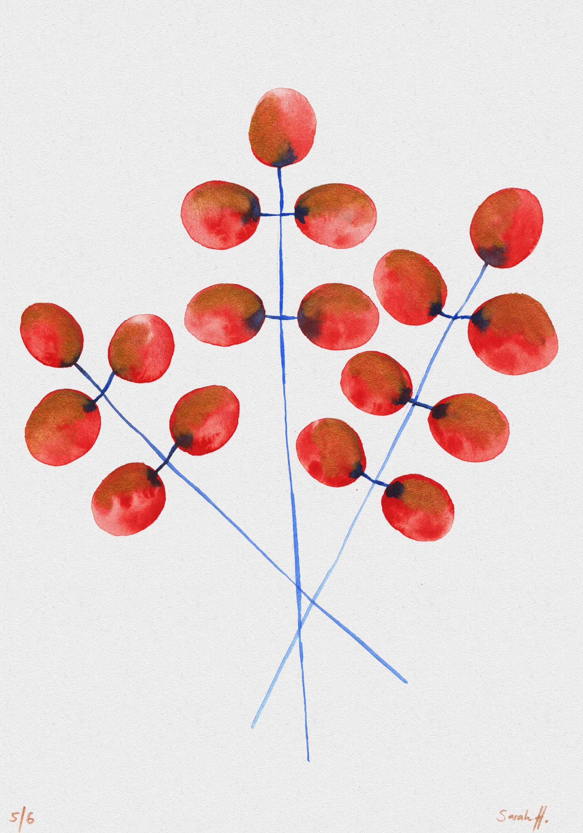 Butte Serie Butte 5/6