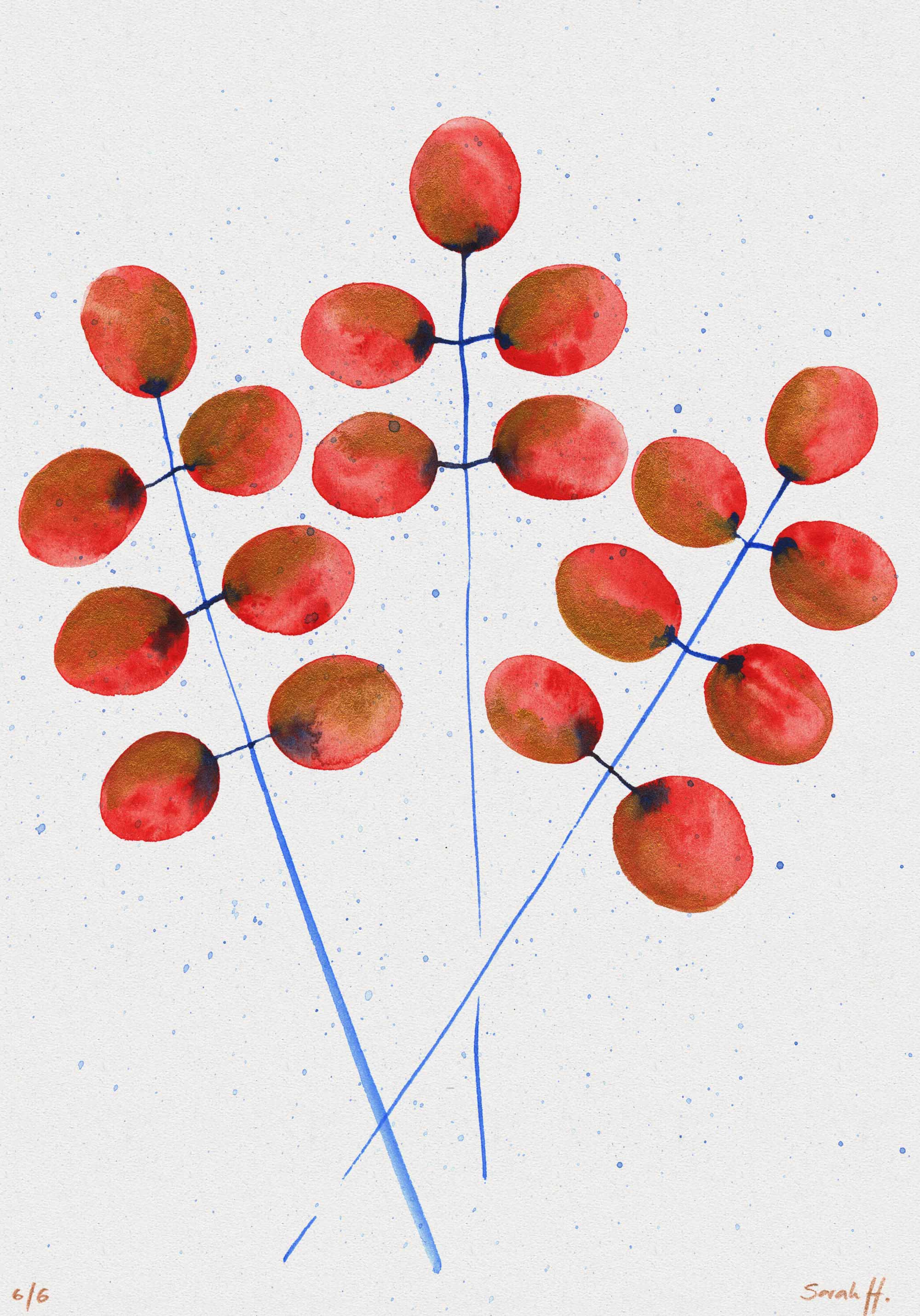 Butte Serie Butte 6/6