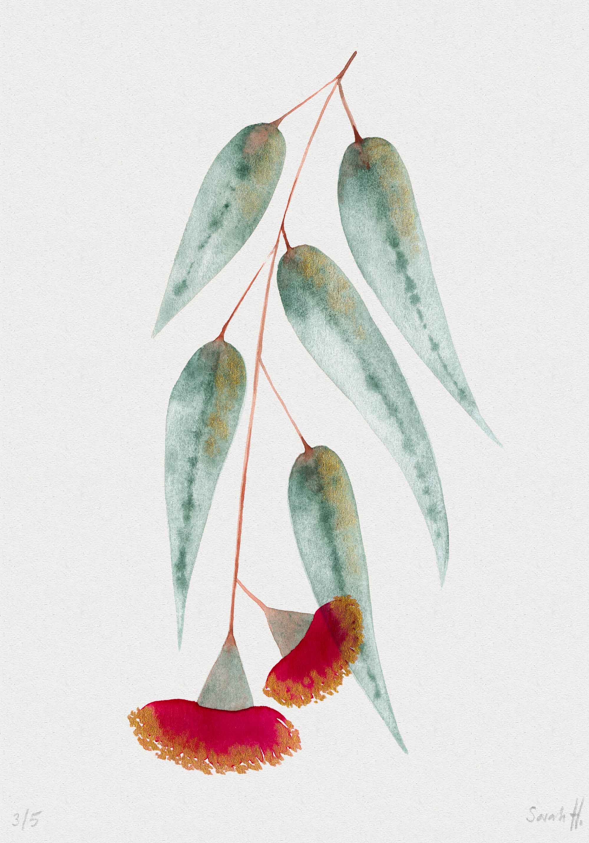 Eucalypt Serie Eucalypt 3/5