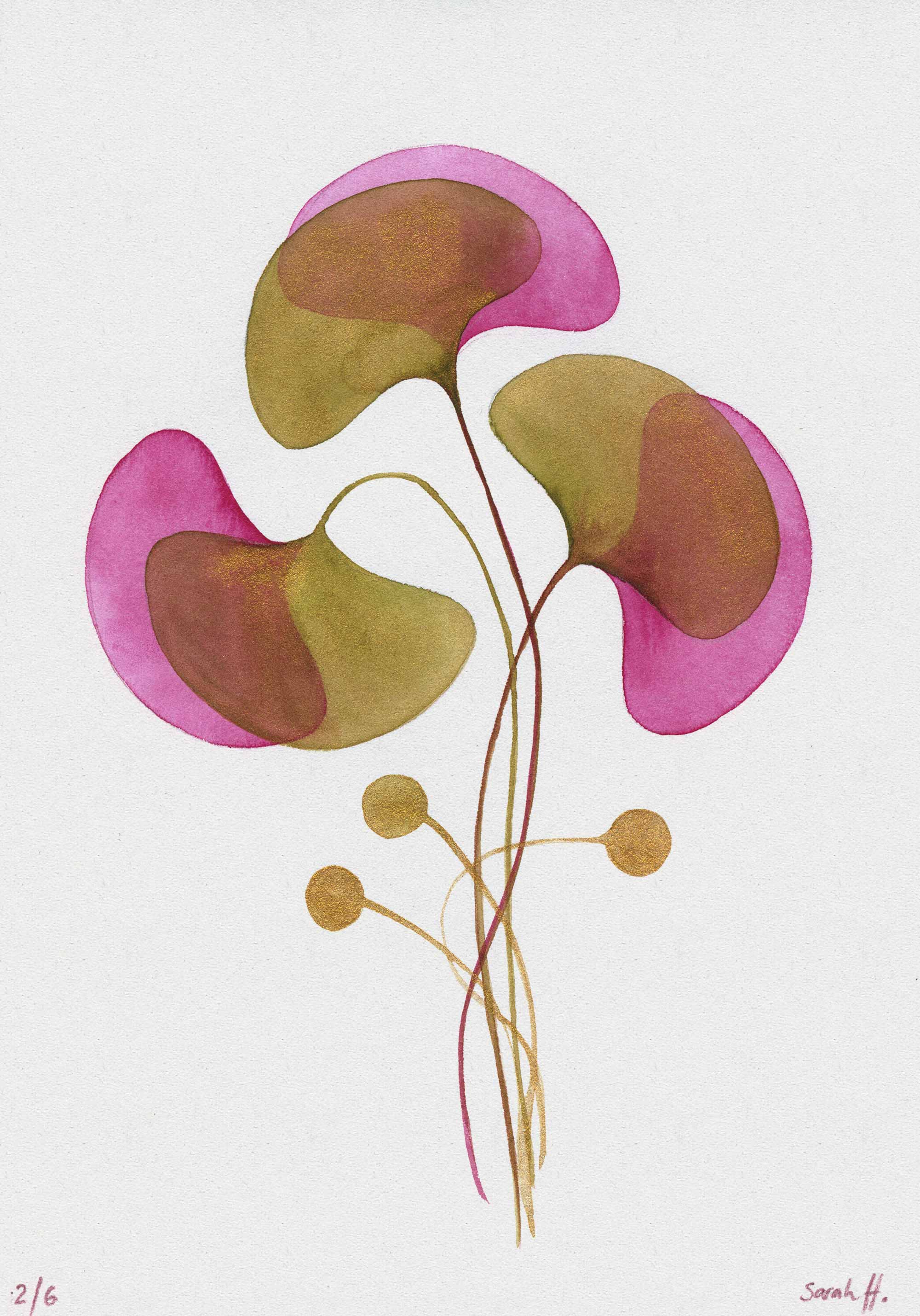 Ginko Serie Ginko 2/6