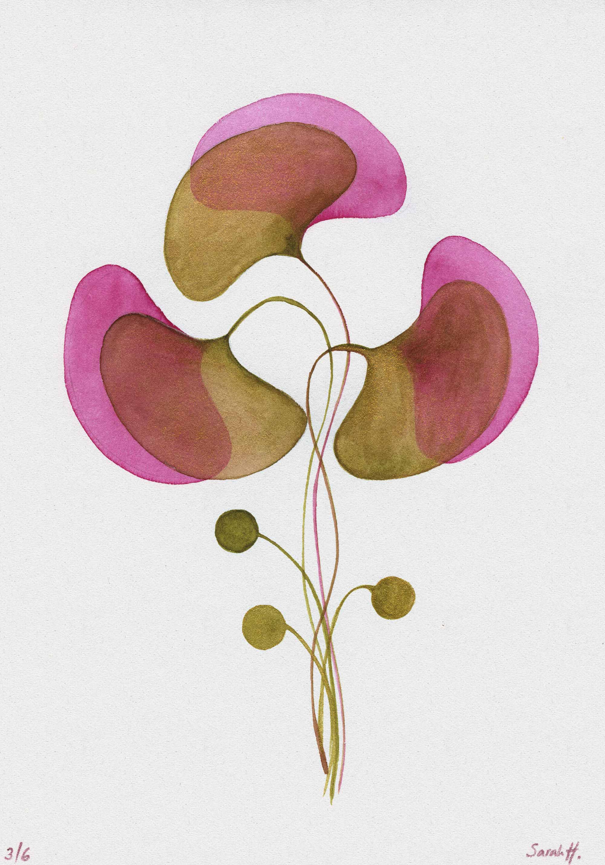 Ginko Serie Ginko 3/6