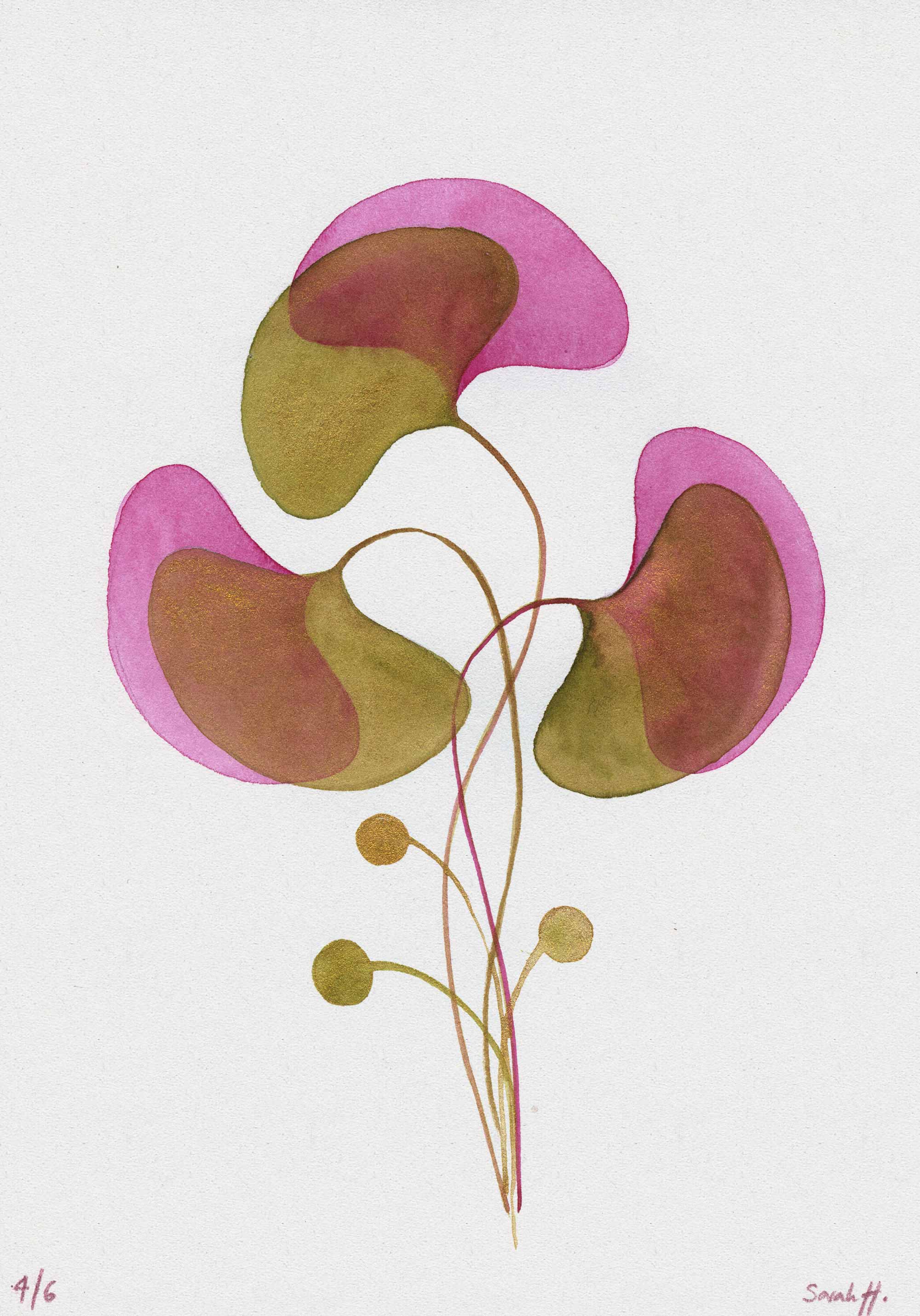 Ginko Serie Ginko 4/6