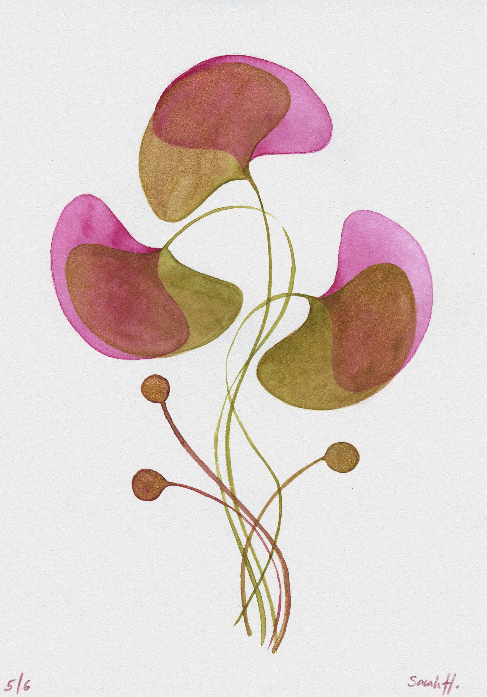 Ginko Serie Ginko 5/6