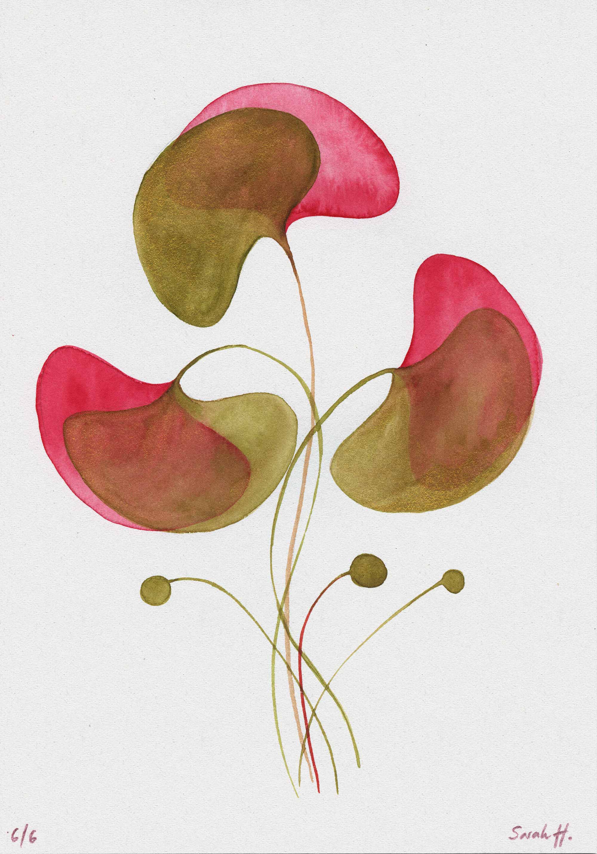 Ginko Serie Ginko 6/6