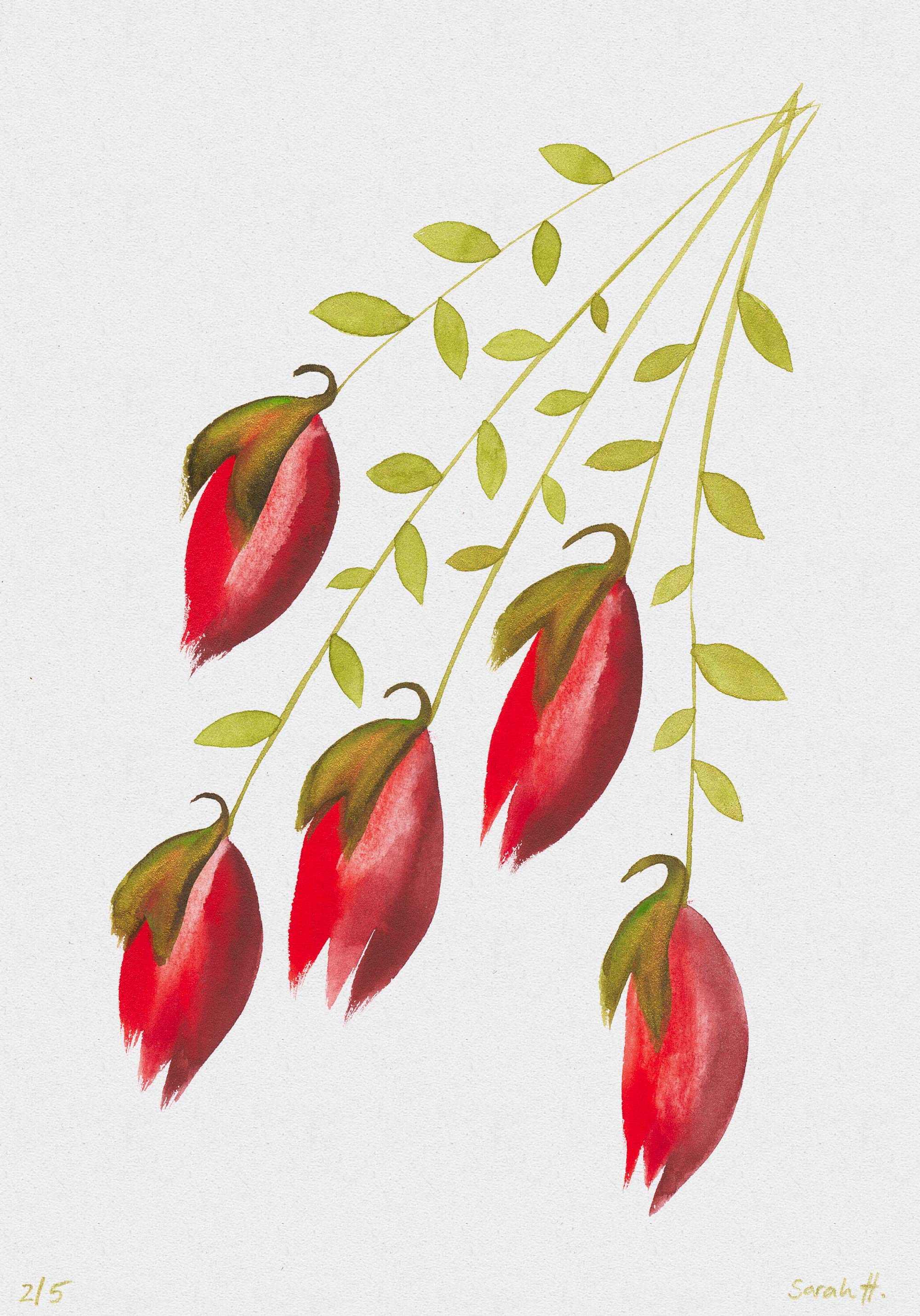 Lampion Serie Lampion 2/5