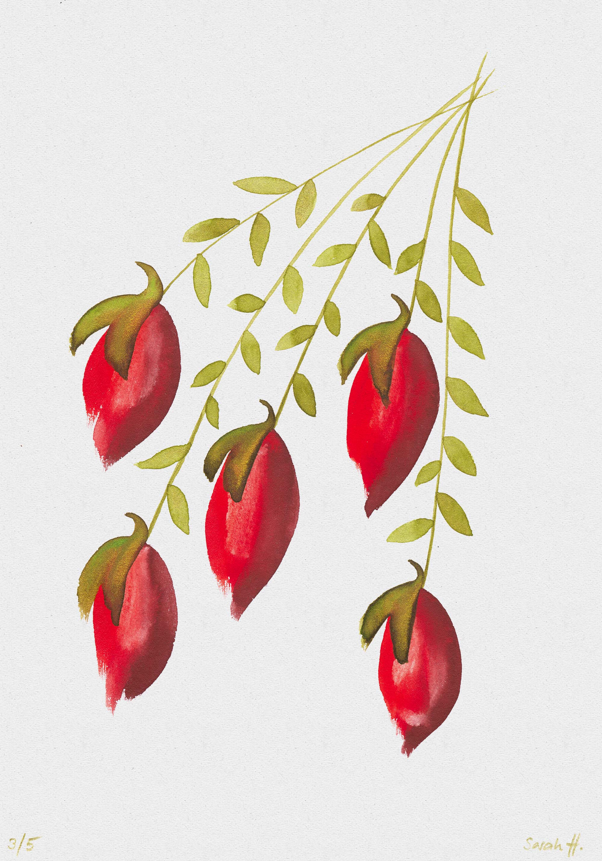 Lampion Serie Lampion 3/5