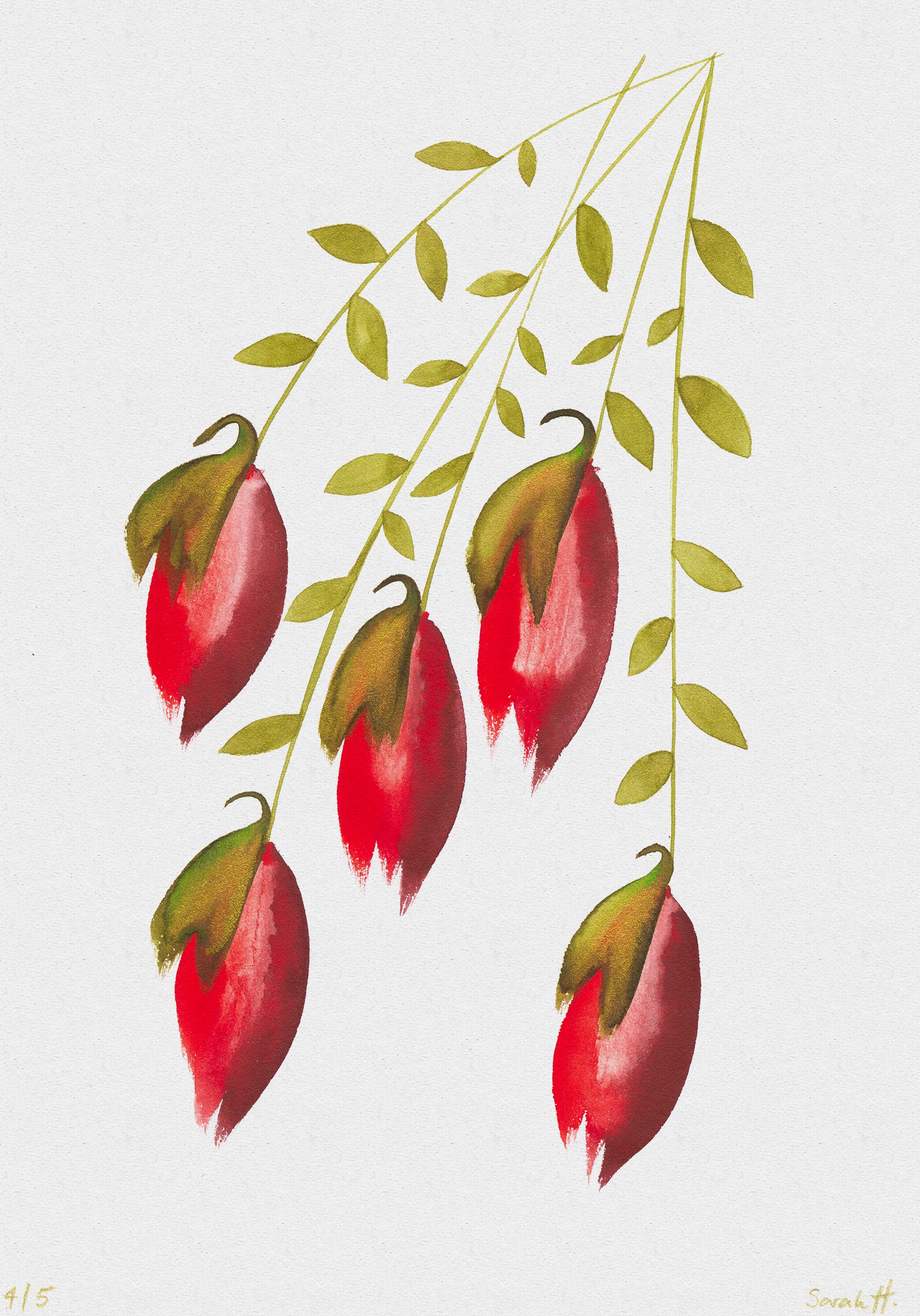 Lampion Serie Lampion 4/5