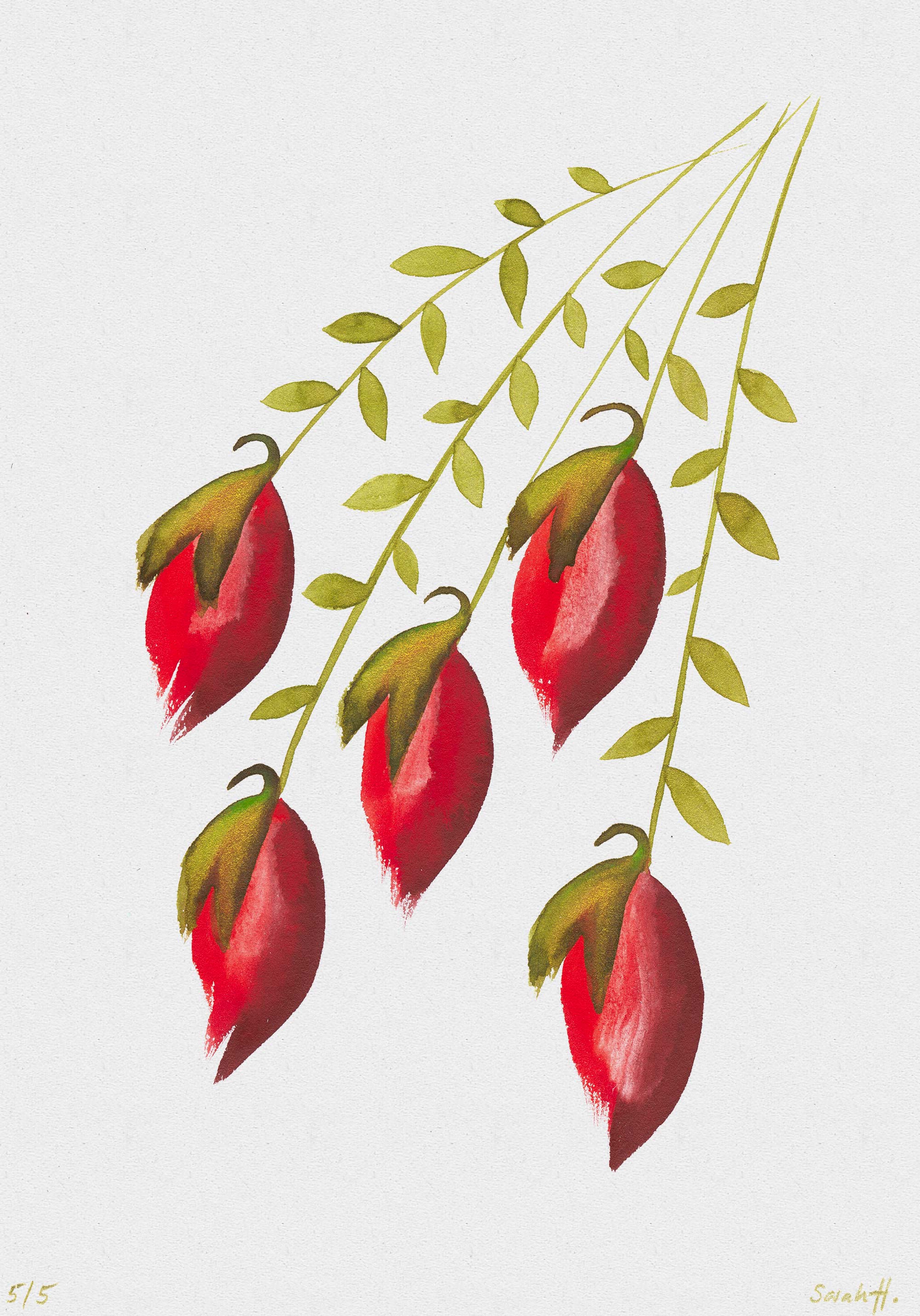 Lampion Serie Lampion 5/5