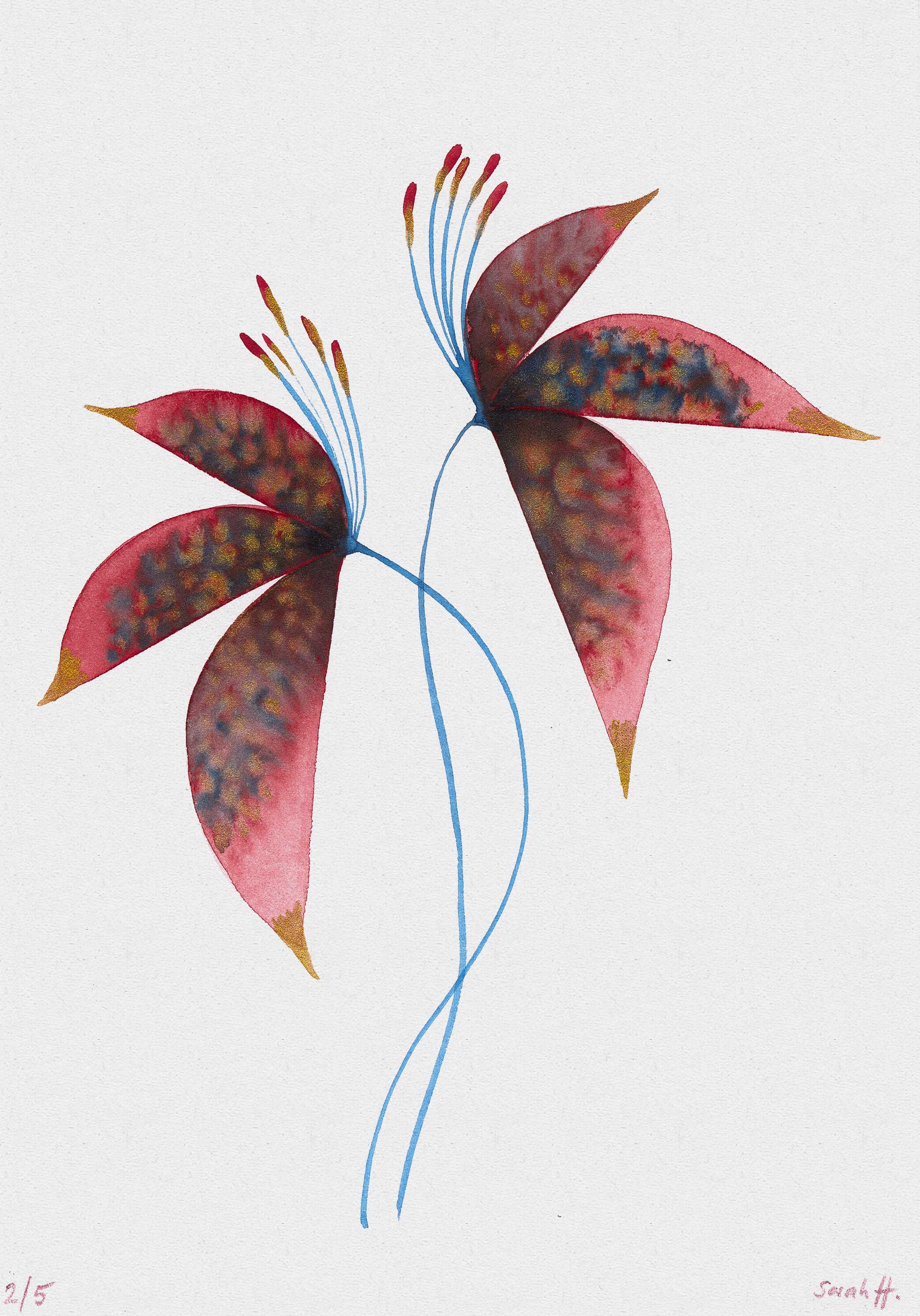 Redlili Serie Redlili 2/5