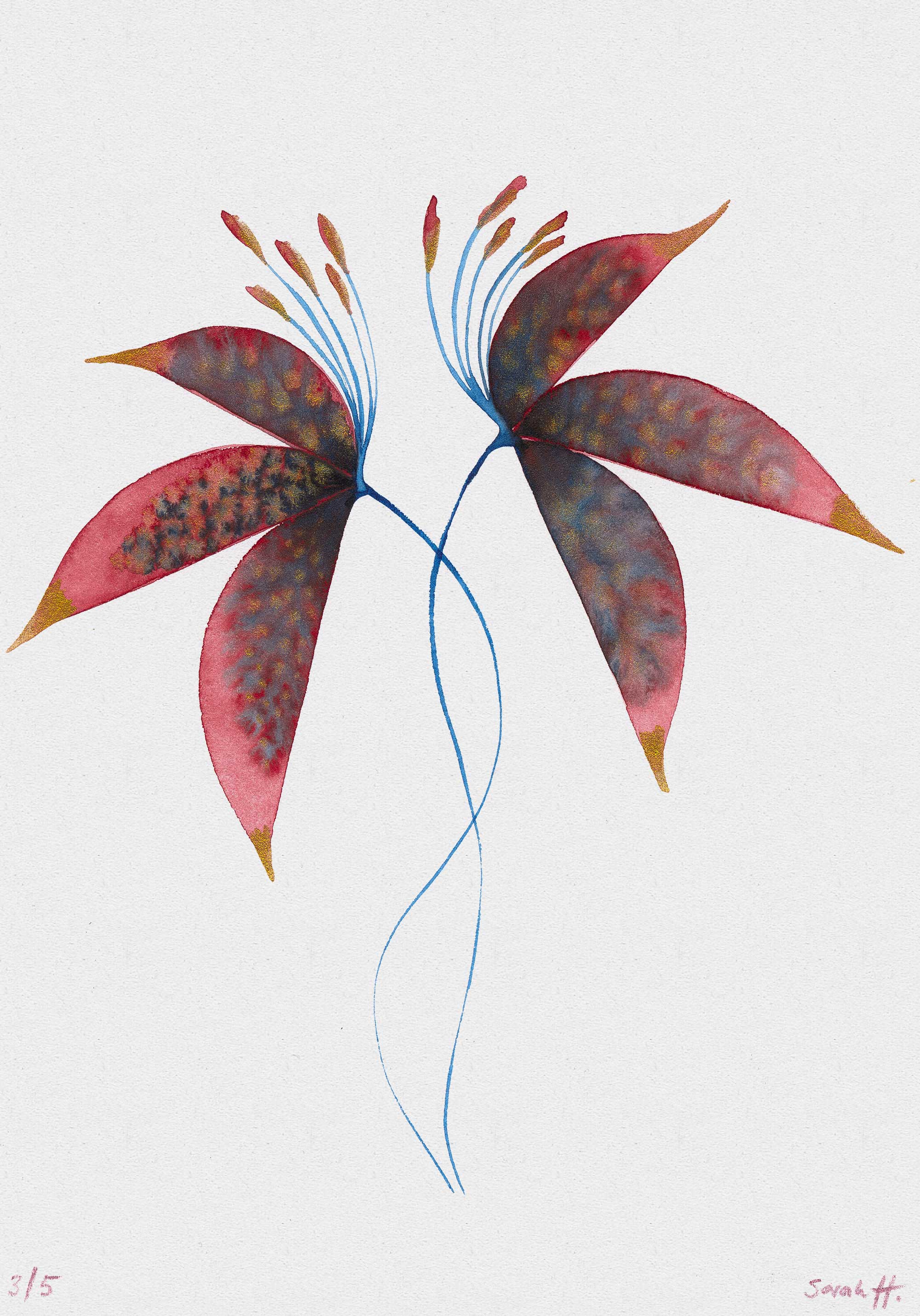 Redlili Serie Redlili 3/5