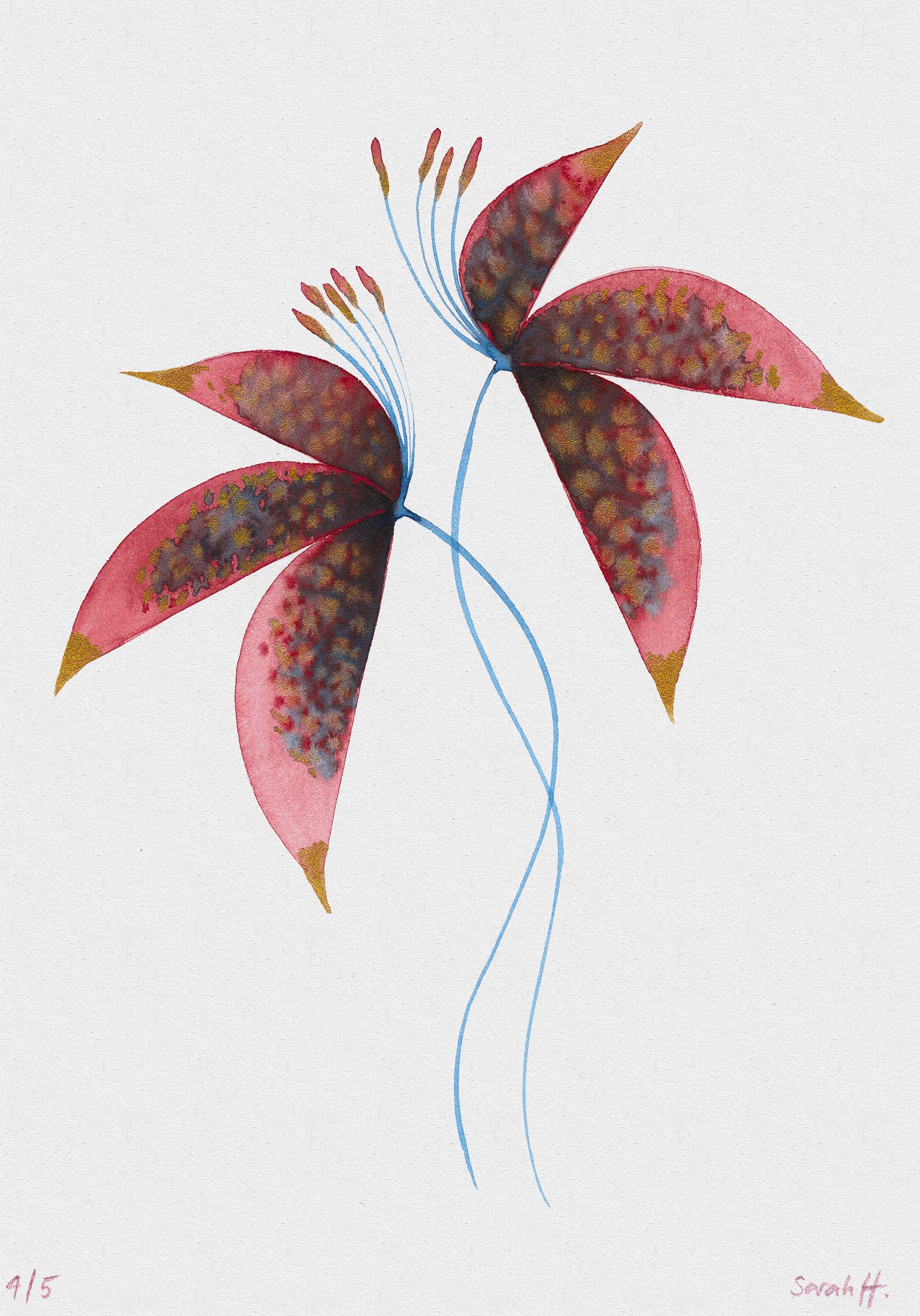 Redlili Serie Redlili 4/5