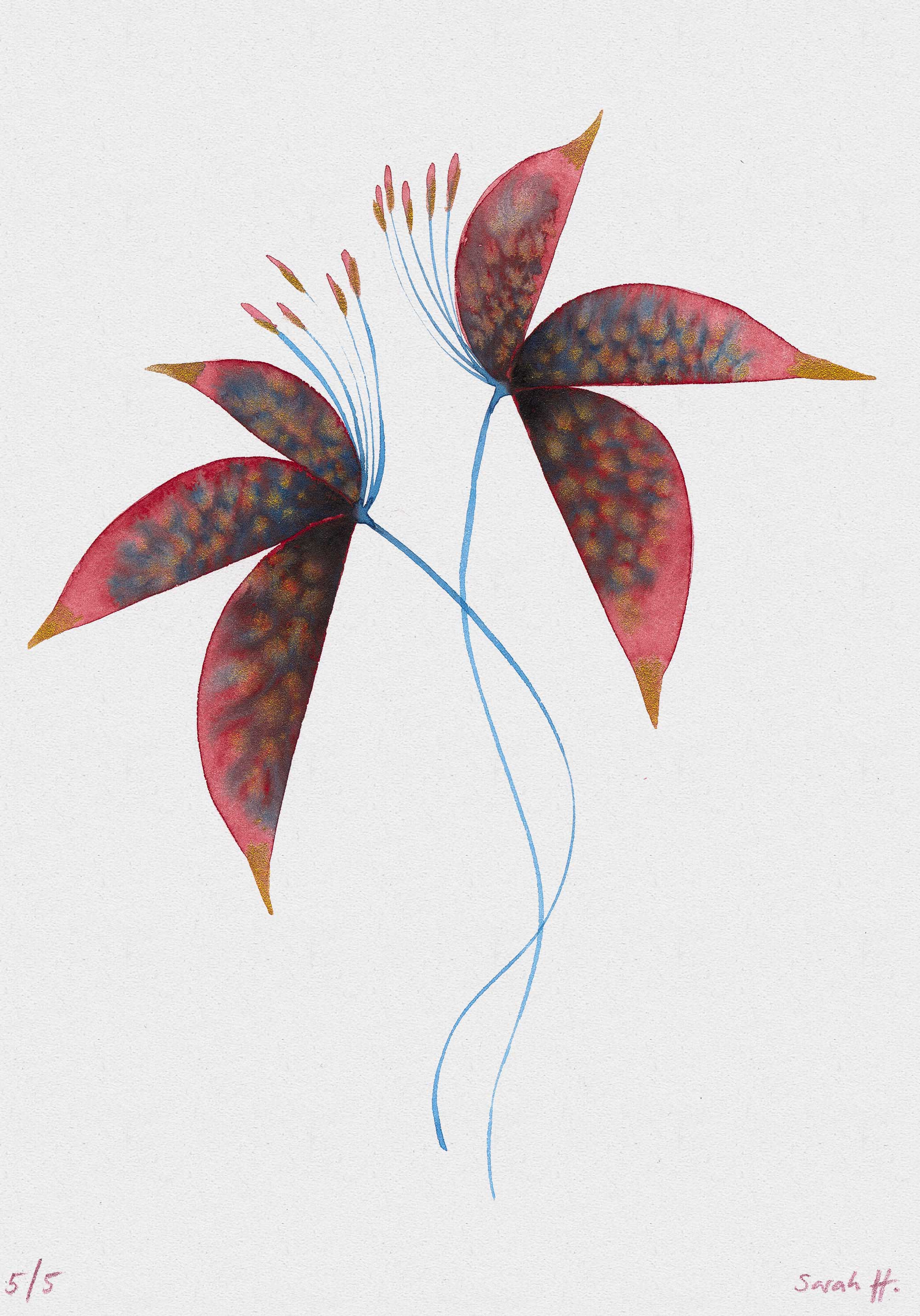 Redlili Serie Redlili 5/5